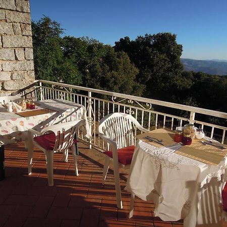 Casa Solotti Guest House Nuoro  Exterior photo