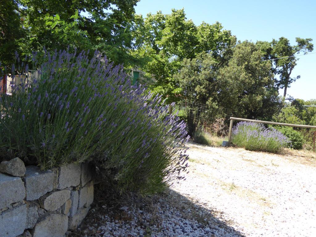 Casa Solotti Guest House Nuoro  Exterior photo